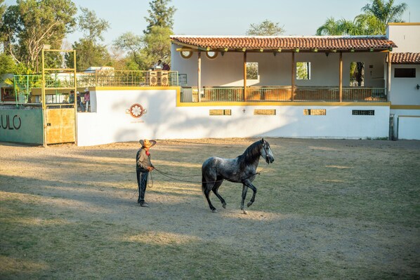 Un establo con un caballo y jinete, rodeado por una cerca y un edificio con techo de tejas.