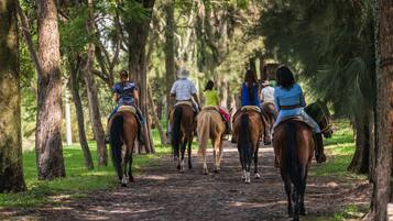 A group of people riding horses on a dirt path surrounded by trees.