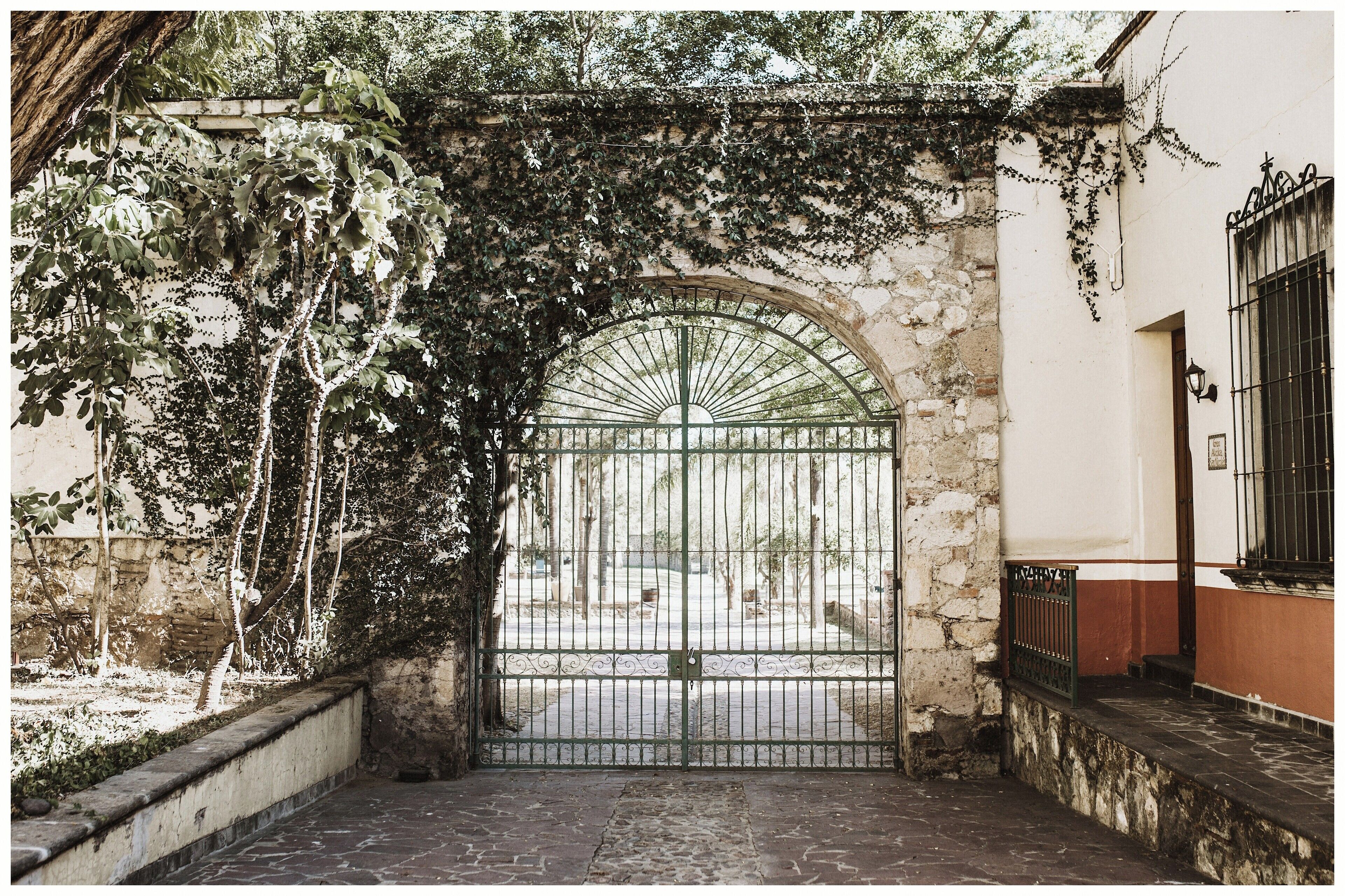 豪華客房, 2 張加大雙人床 | 露台/庭院