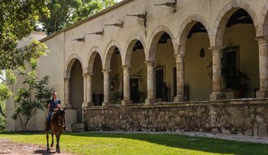 A courtyard with a stone wall, arches, and a horse.