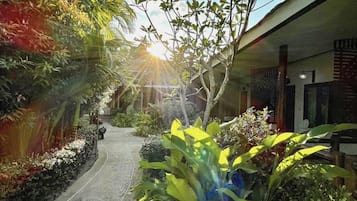 Outdoor pool, open 8:00 AM to 9:00 AM, sun loungers