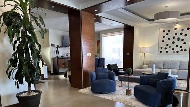 Een moderne woonkamer met blauwe fauteuils, een grijze bank en een grote potplant.