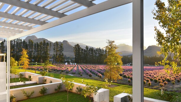 Honeymoon Suit | View from property - Lavender Farm Guest House (Franschhoek)