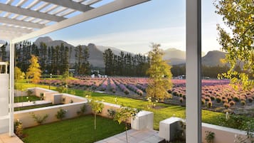 Honeymoon Suit | Blick von der Unterkunft