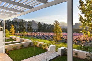 Honeymoon Suit | View from property