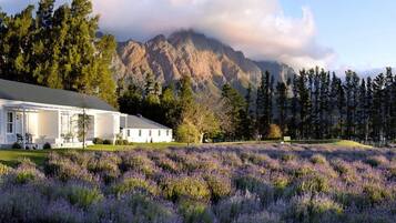 Luxury View Twin / Double Room | Exterior