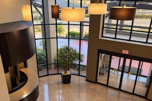 Zona de recepción con mostrador, una planta en maceta y grandes ventanales que ofrecen vistas al exterior.