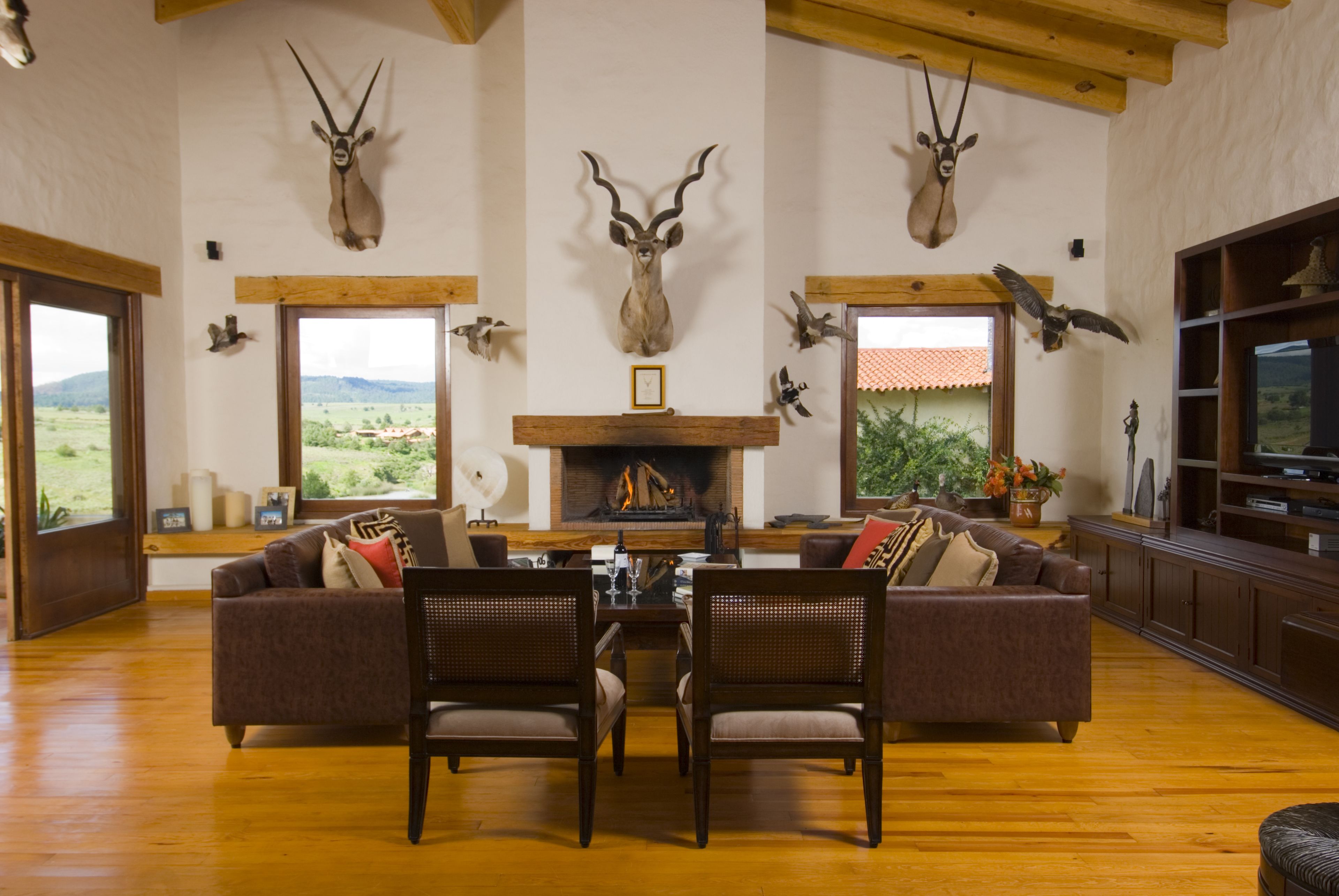 Área de sala de estar