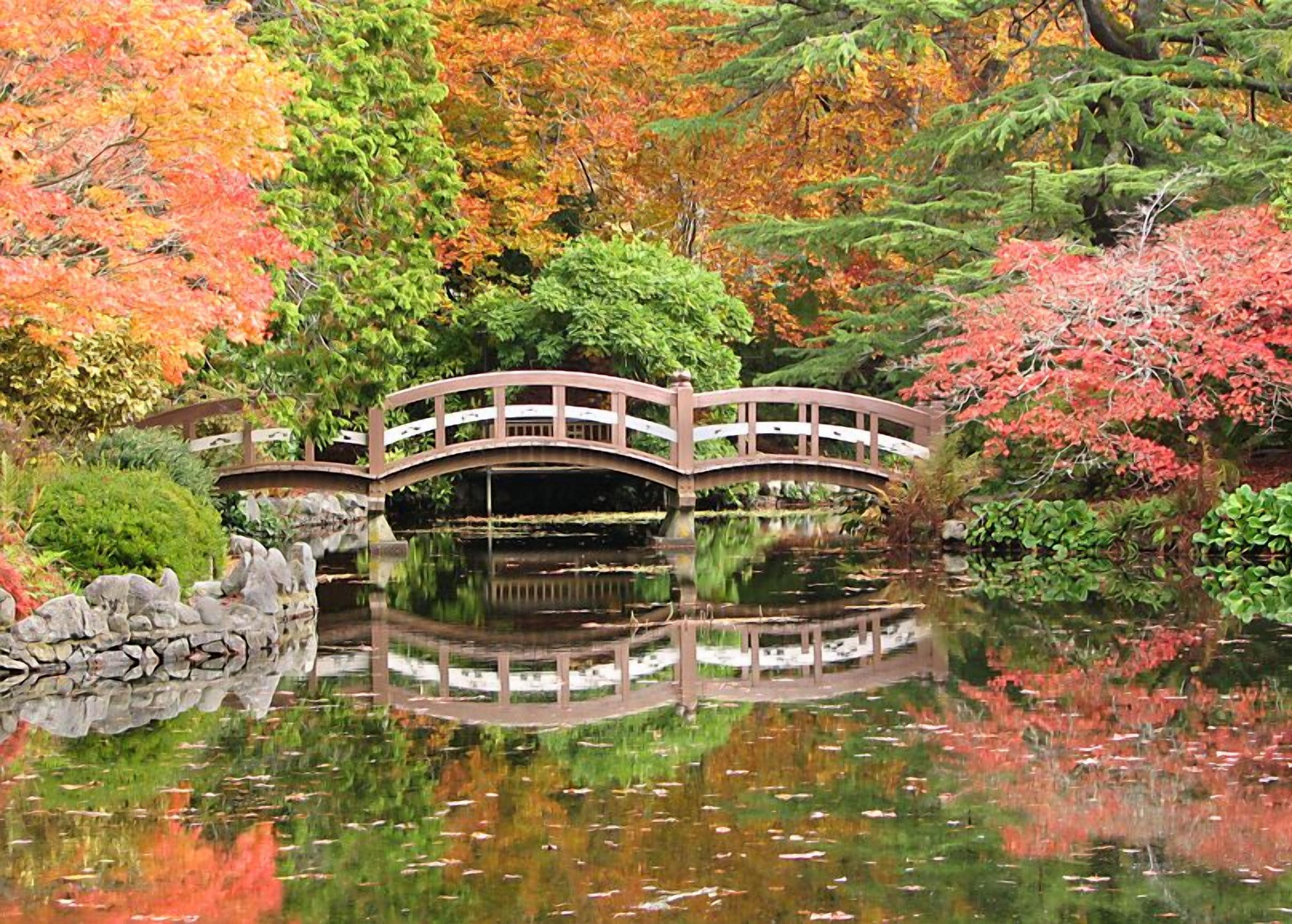 Ein traditioneller japanischer Garten mit einer Stegbrücke über einem Teich, umgeben von Herbstlaub.