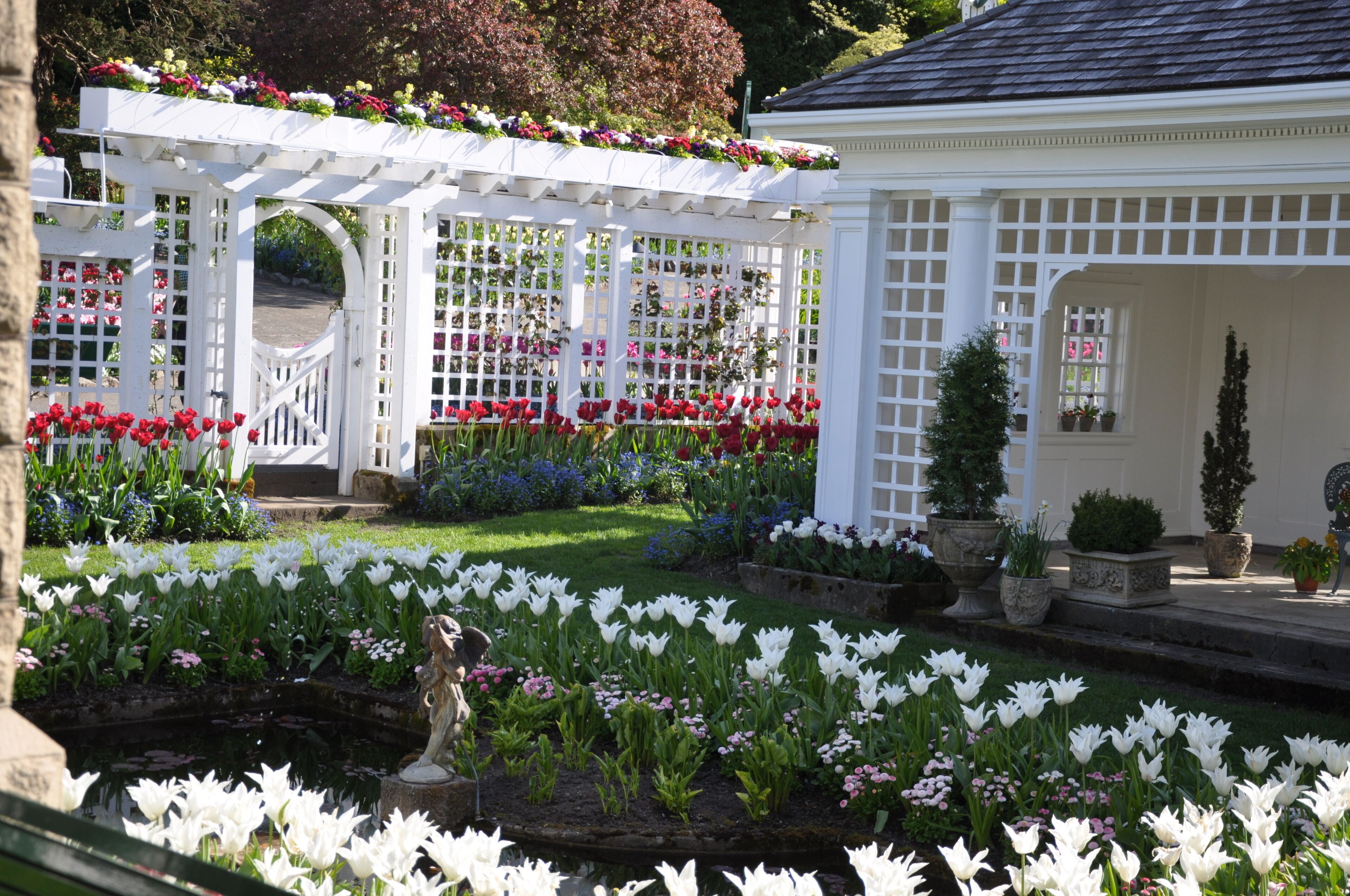A garden with a white pergola, a pond, and various flowers.