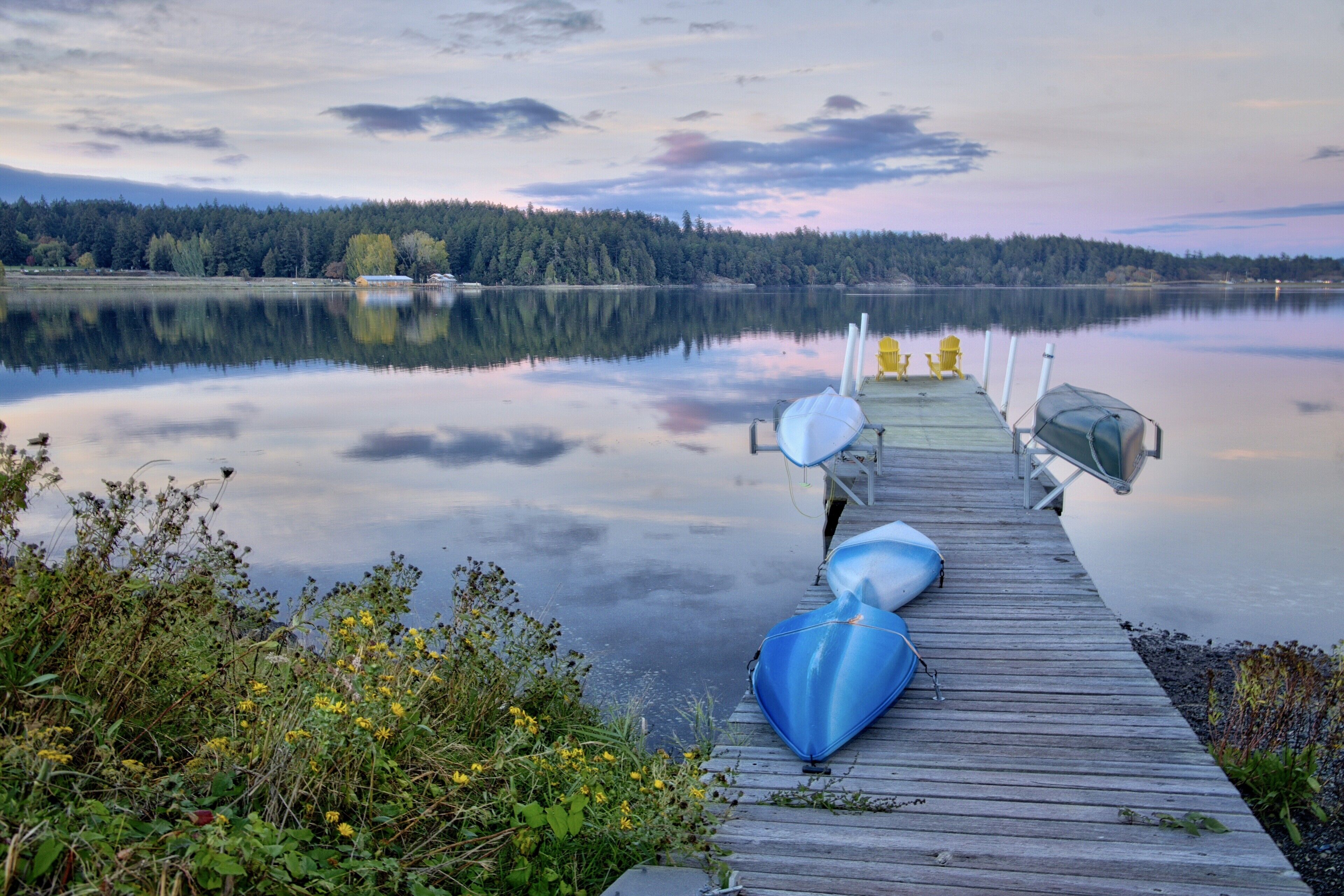 A wooden dock extending into calm waters with a forested shoreline in the background.