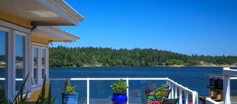 バーズ オブ ア フェザー ビクトリア オーシャンフロント スタジオ スイーツ