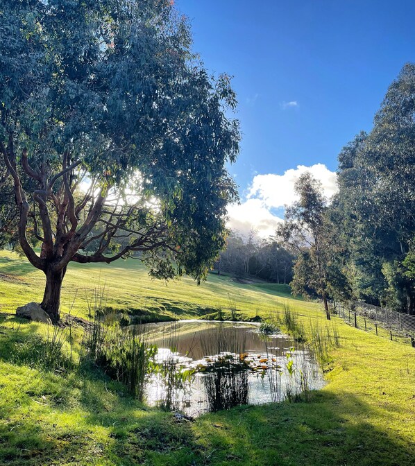 Jardín