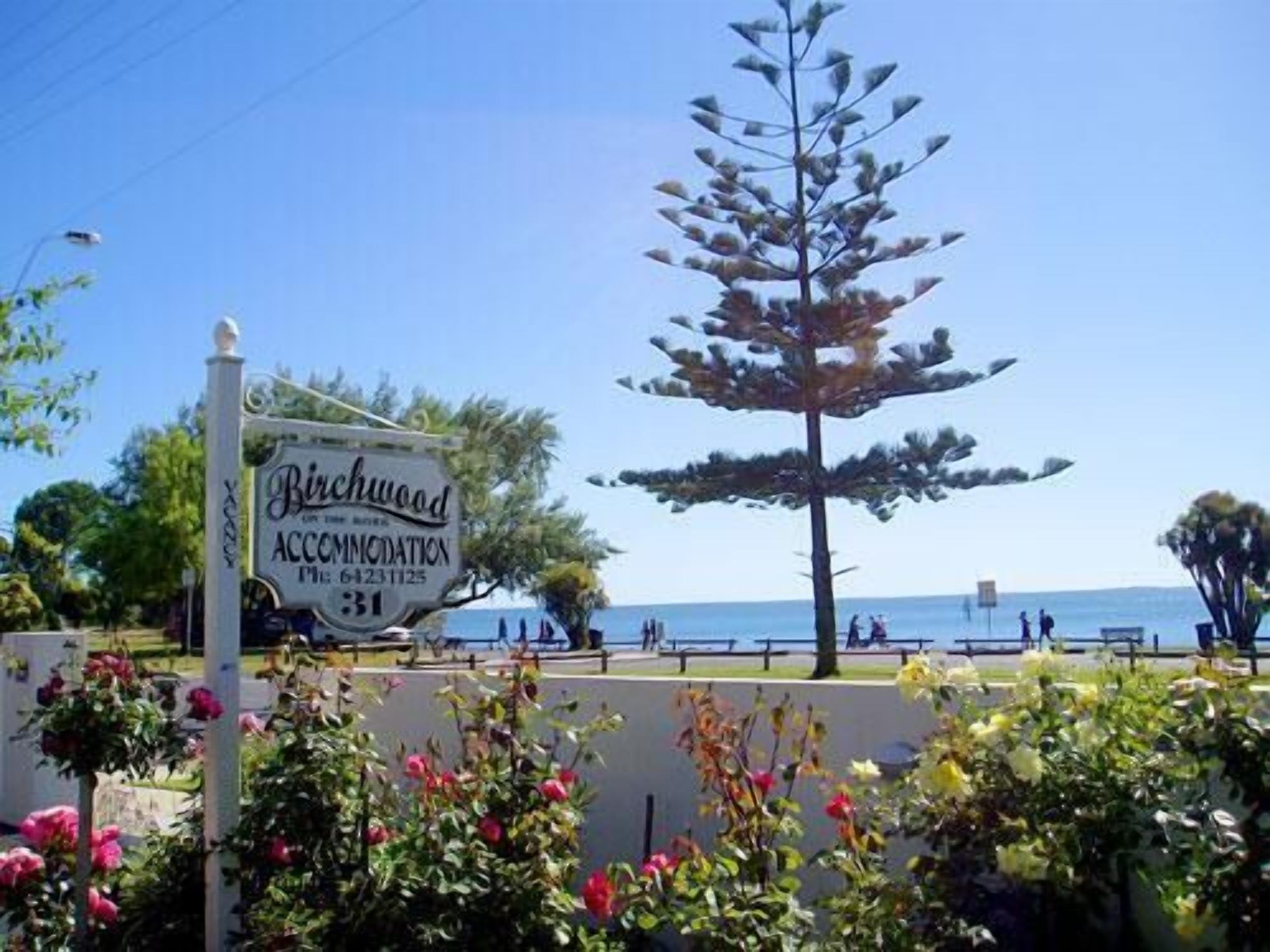 Birchwood on the River — image 20