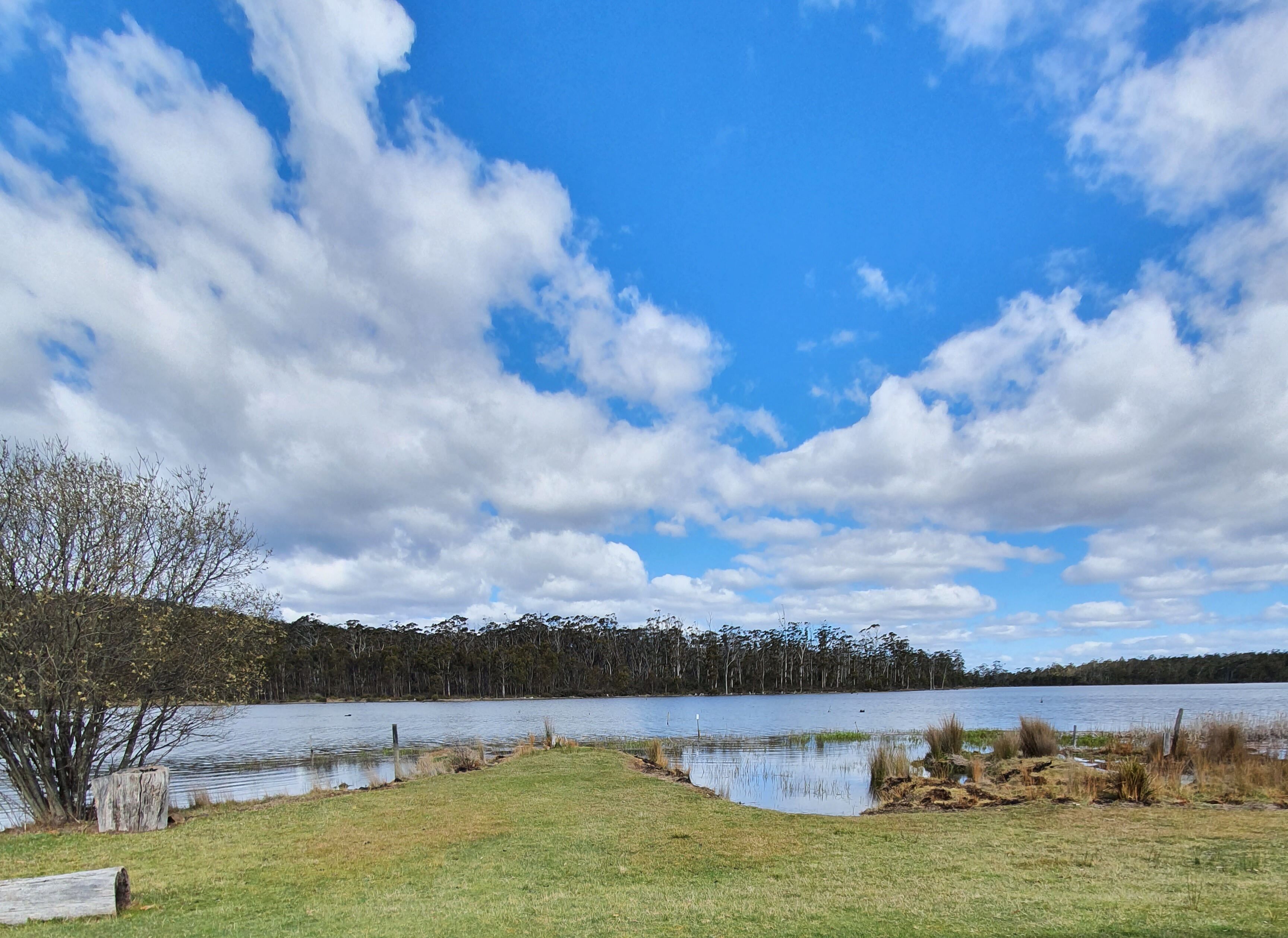 Lake Yalleena Nature Retreat — image 23