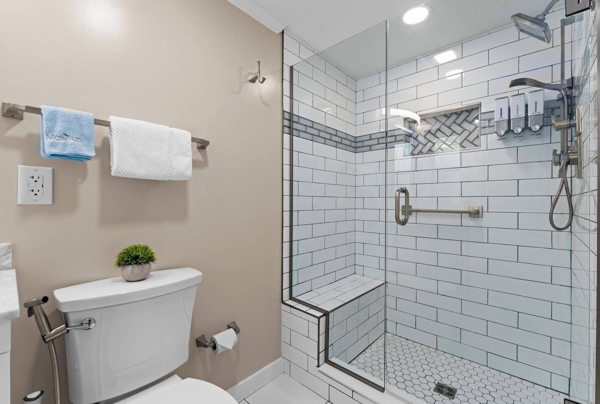 Een badkamer met een douche met glazen wand, een toilet en een wastafel met een plant in pot.