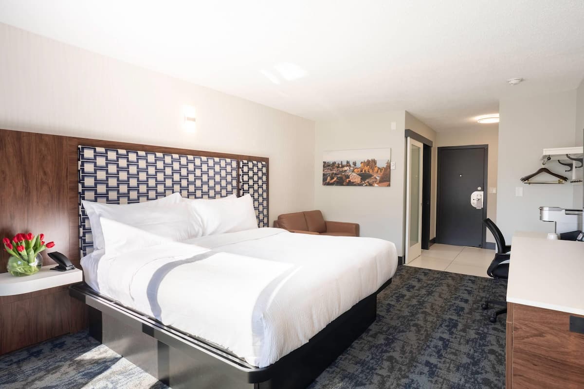 Room, 1 King Bed, Non Smoking (Efficiency) | Premium bedding, desk, blackout drapes, free WiFi