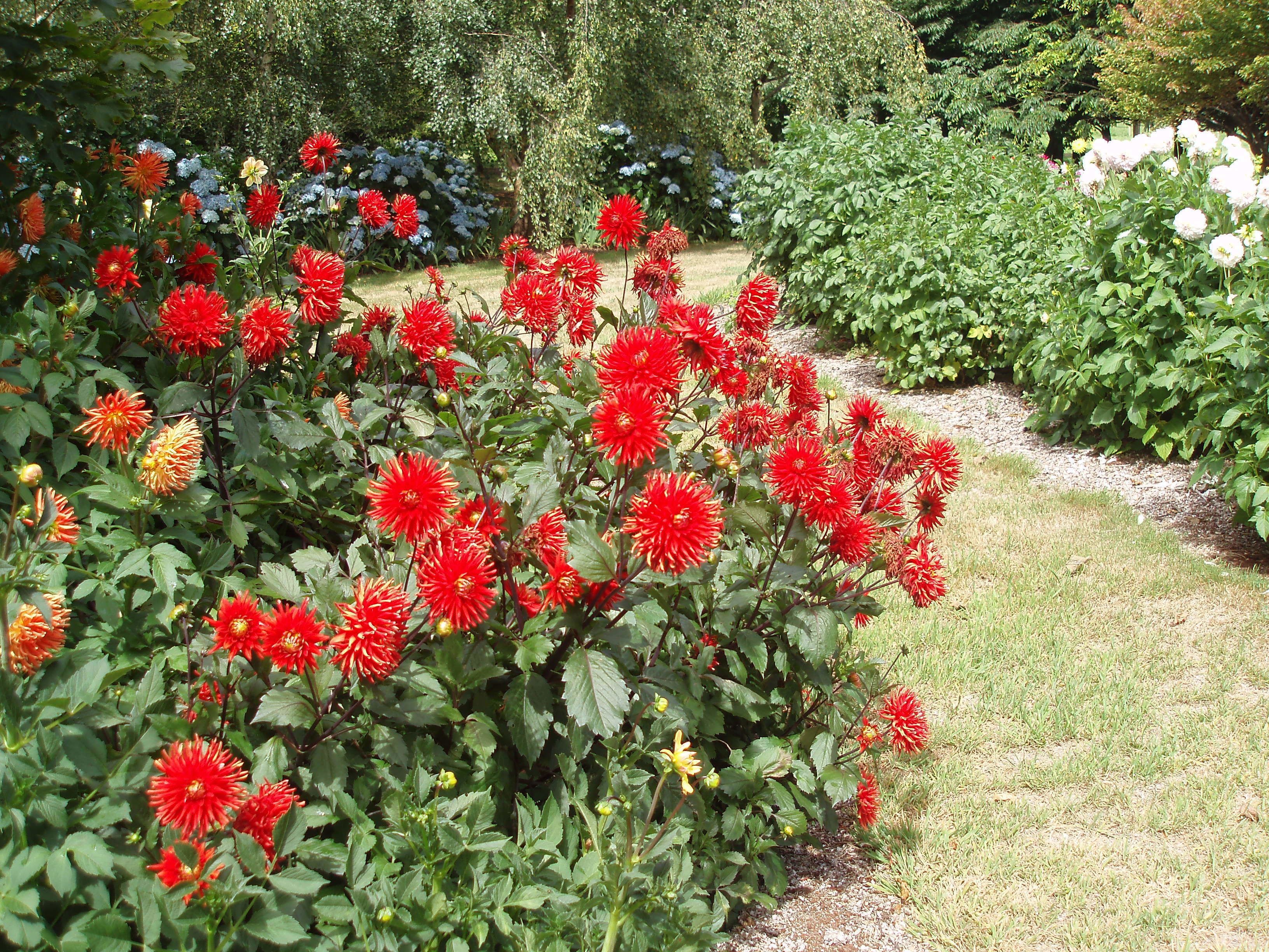 Boat Harbour Garden Cottages — image 27