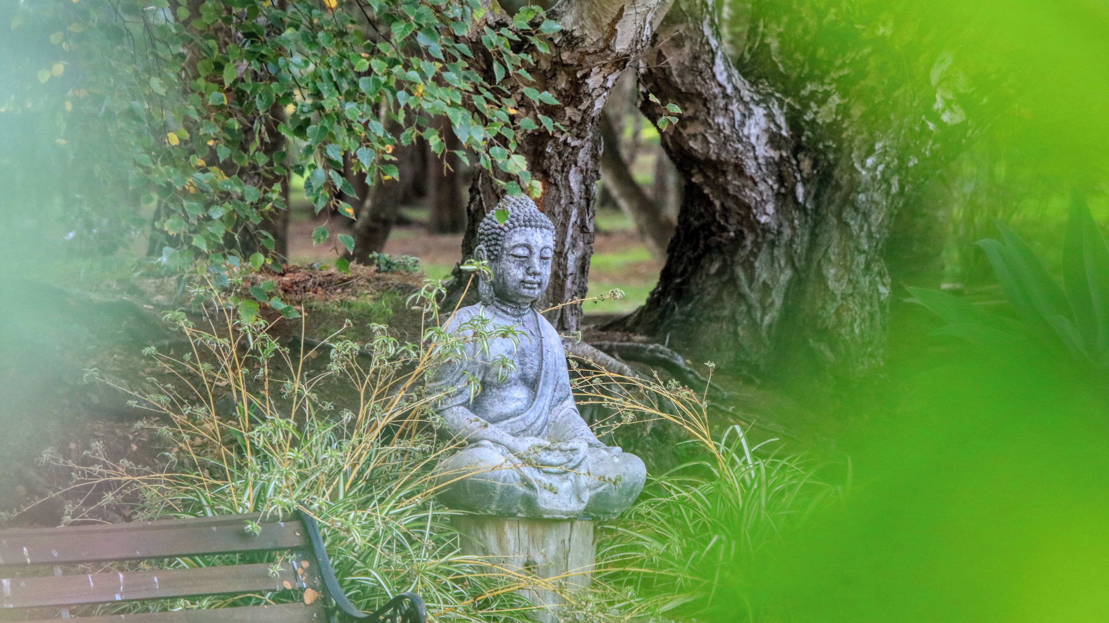 A stone Buddha statue in a garden setting.