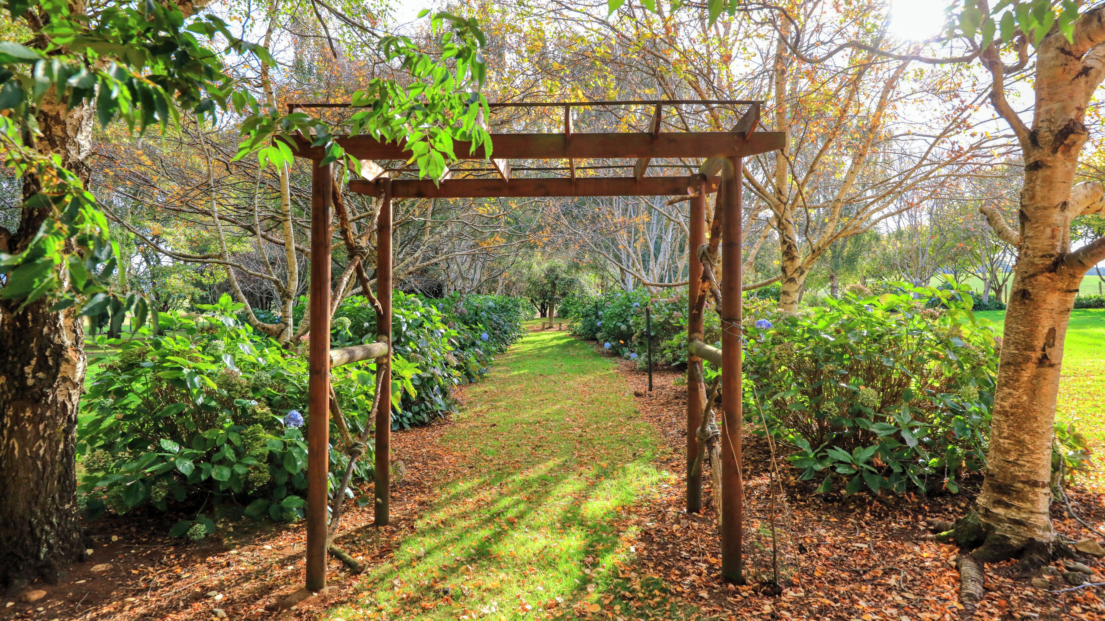 A wooden arbor in a garden with a grassy path and surrounding foliage.