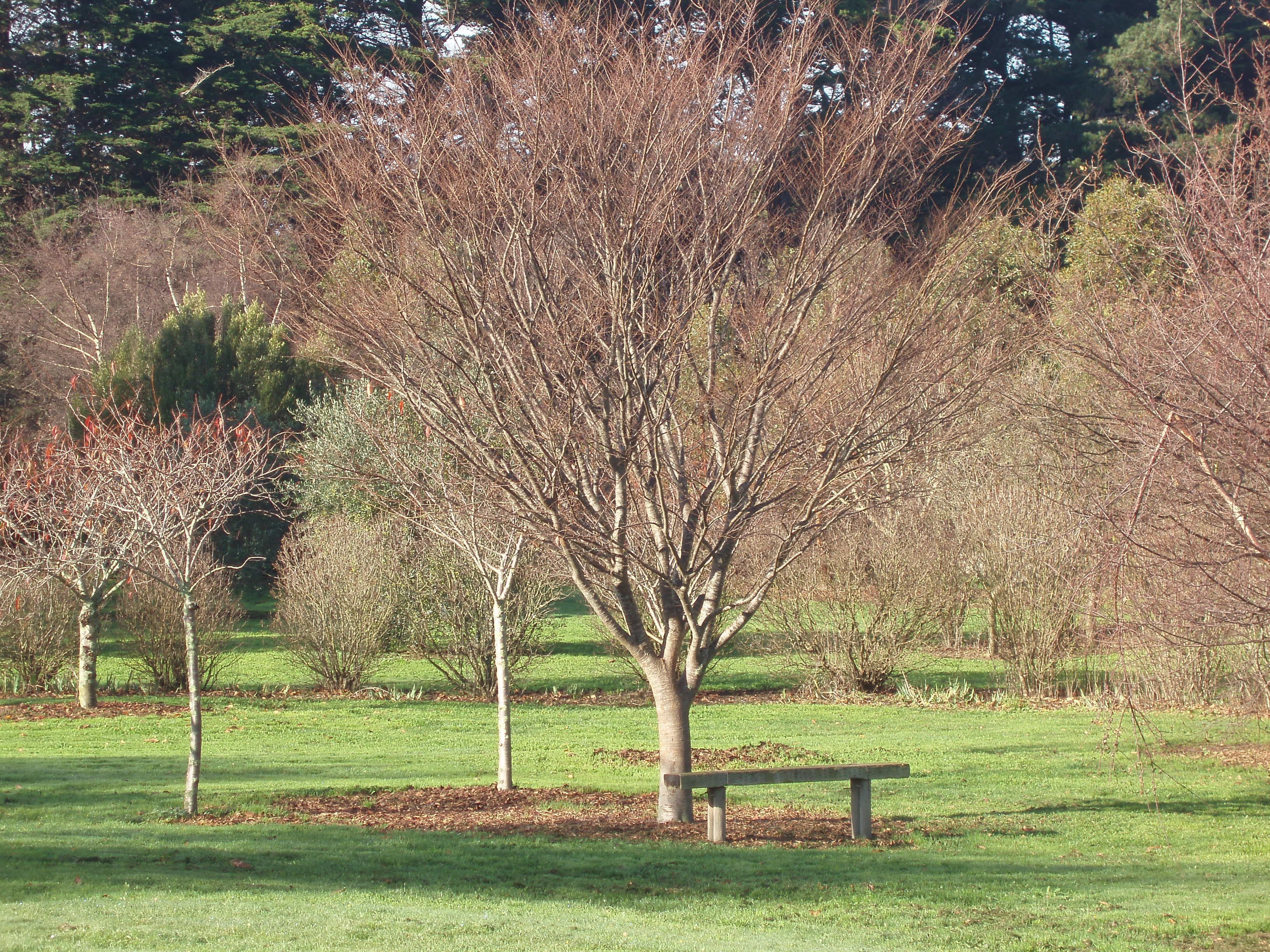Boat Harbour Garden Cottages — image 28