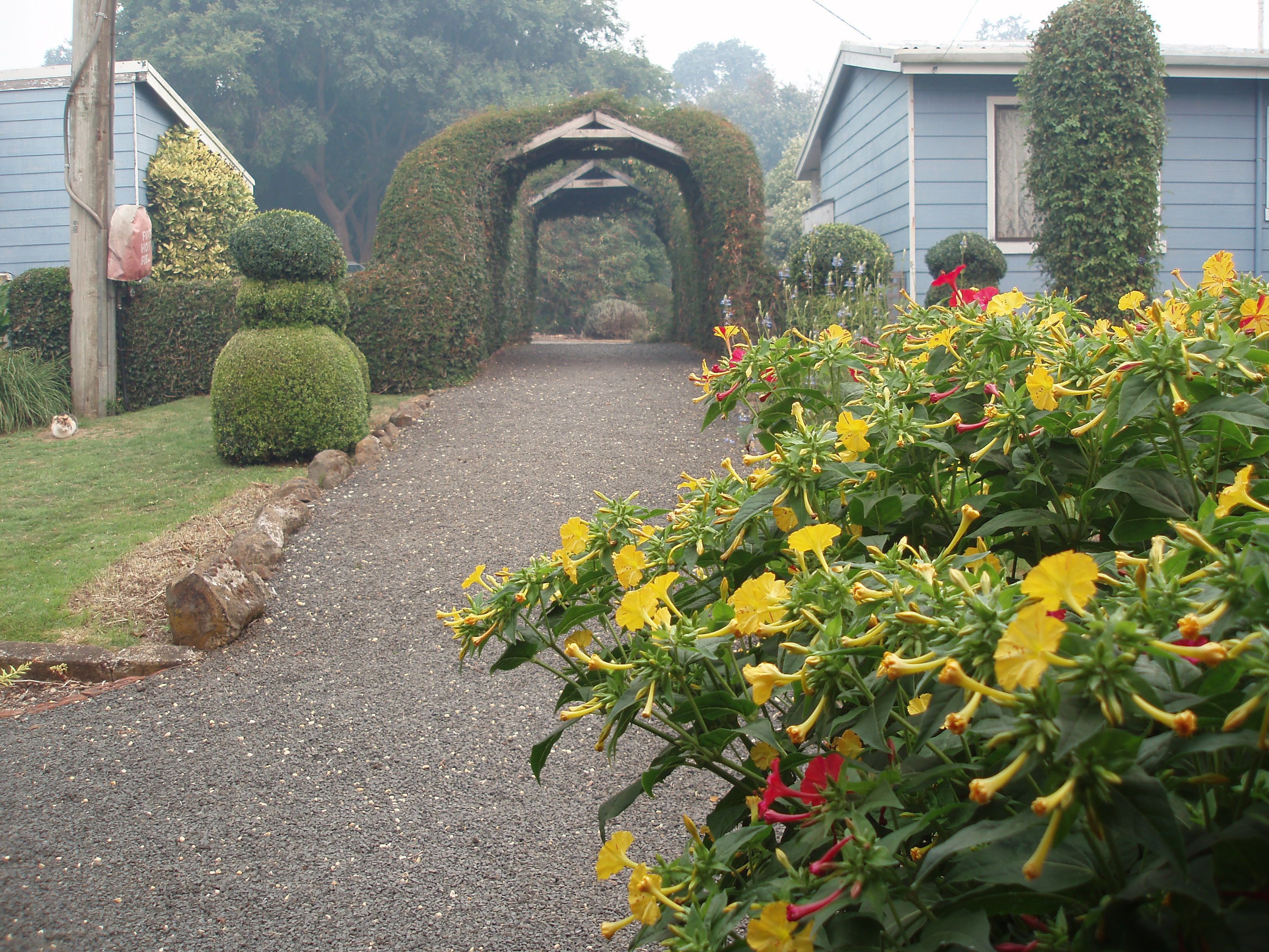 Boat Harbour Garden Cottages — image 26