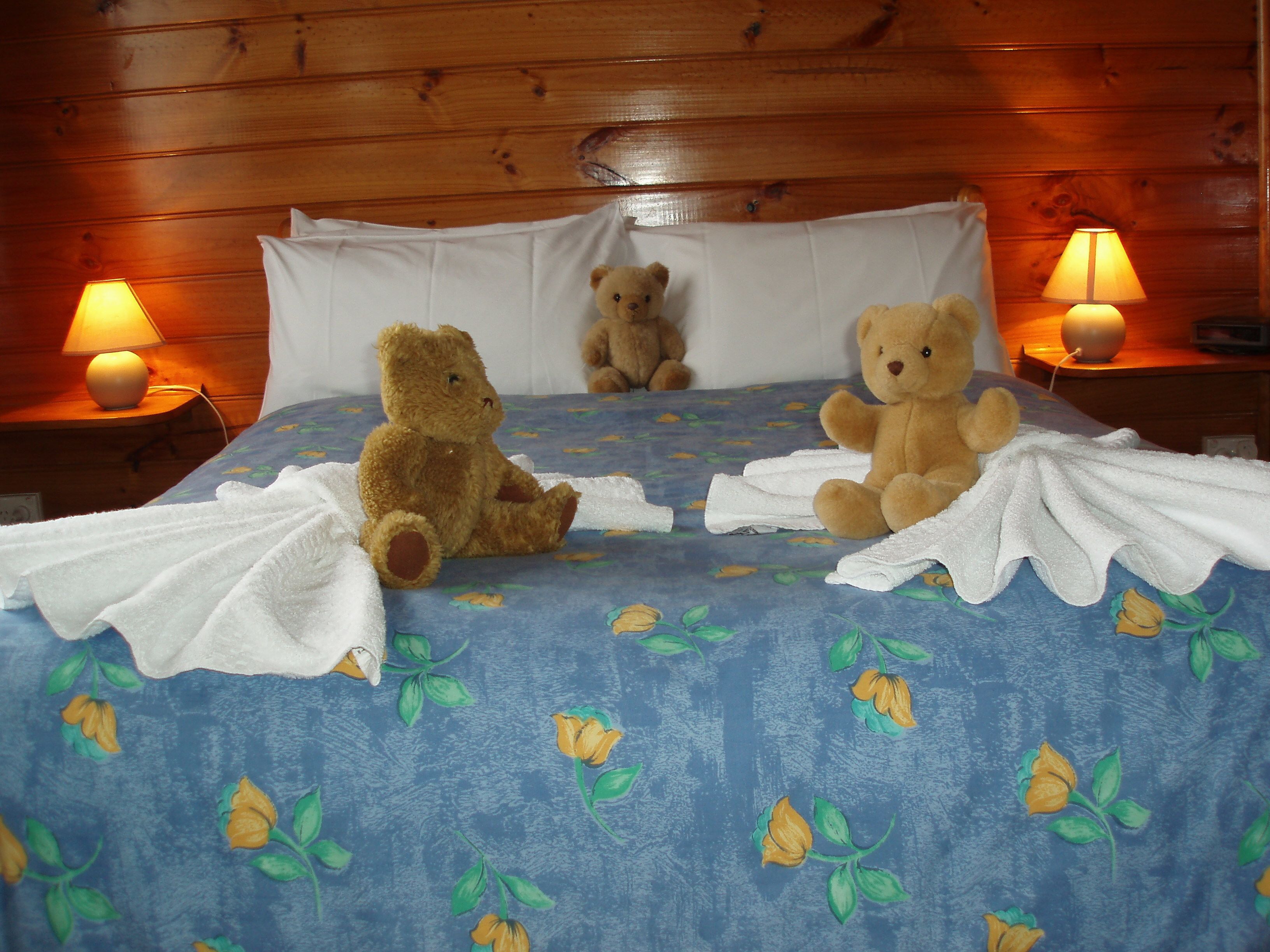 Boat Harbour Garden Cottages — image 6