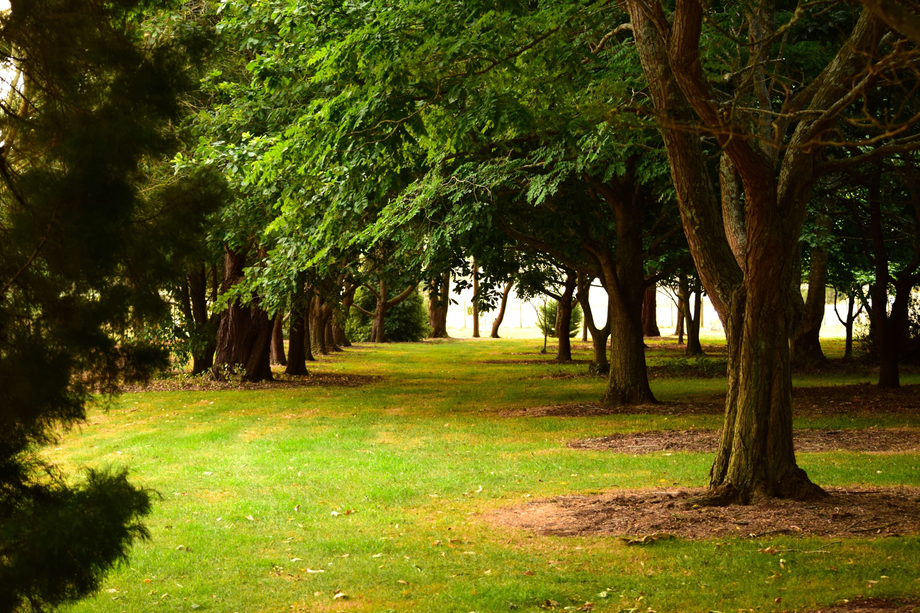Boat Harbour Garden Cottages — image 23