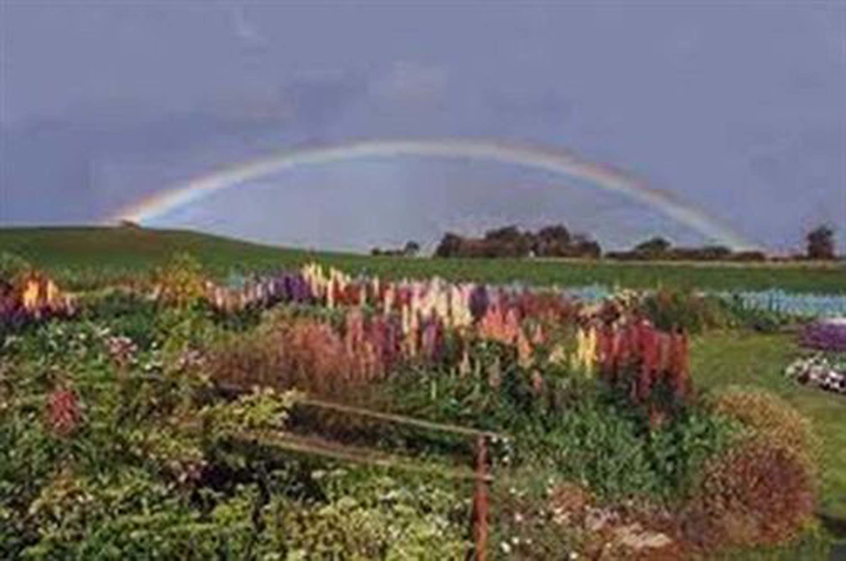 Boat Harbour Garden Cottages — image 22