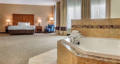 Comfort Inn Apalachin / Binghamton W Route 17