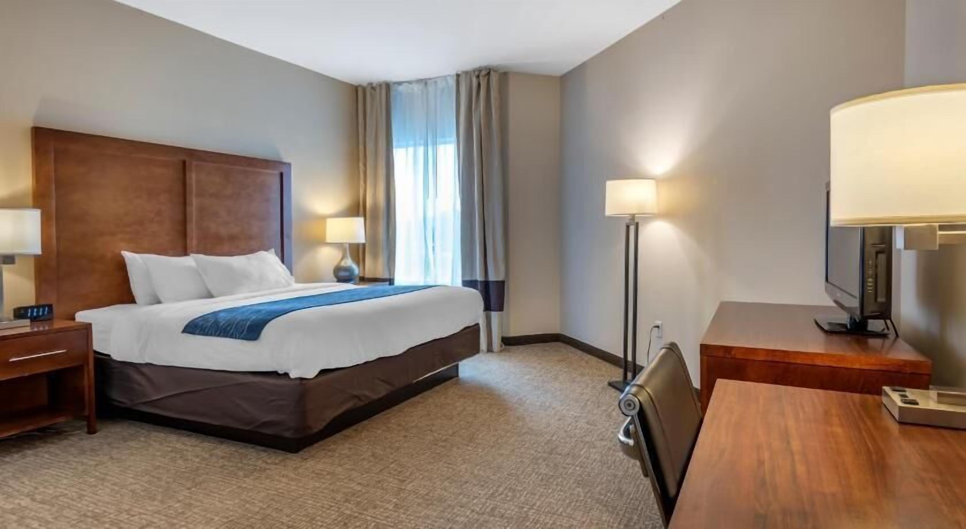Egyptian cotton sheets, premium bedding, down comforters
