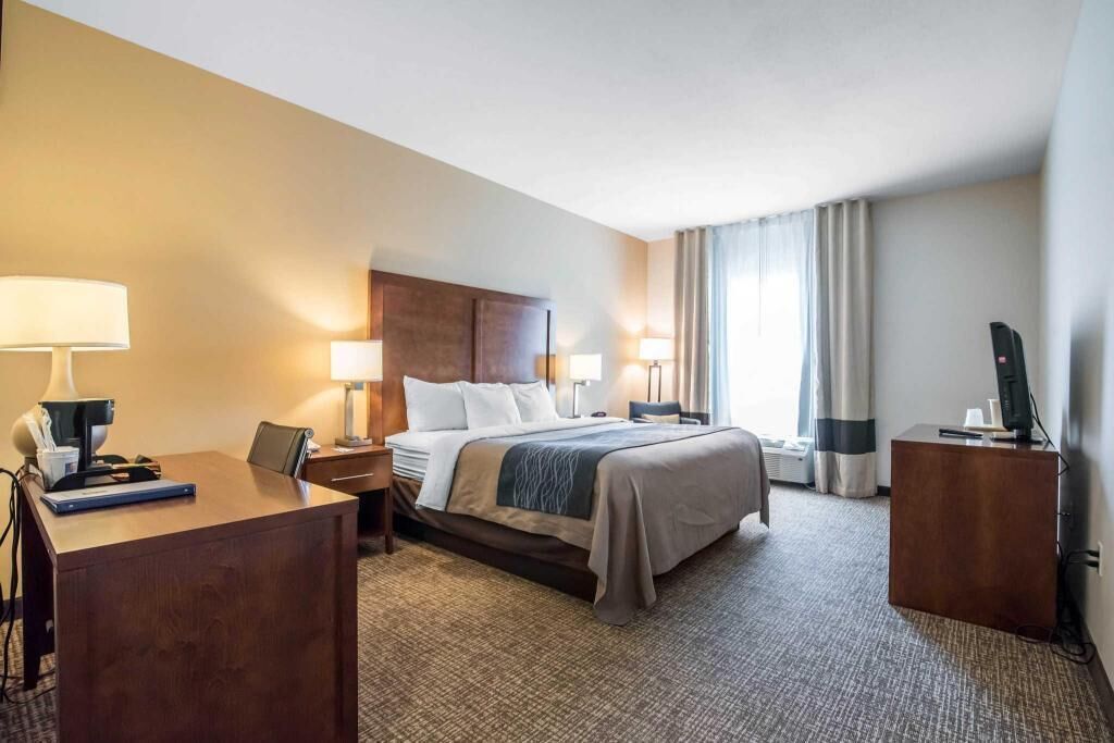 Egyptian cotton sheets, premium bedding, down comforters