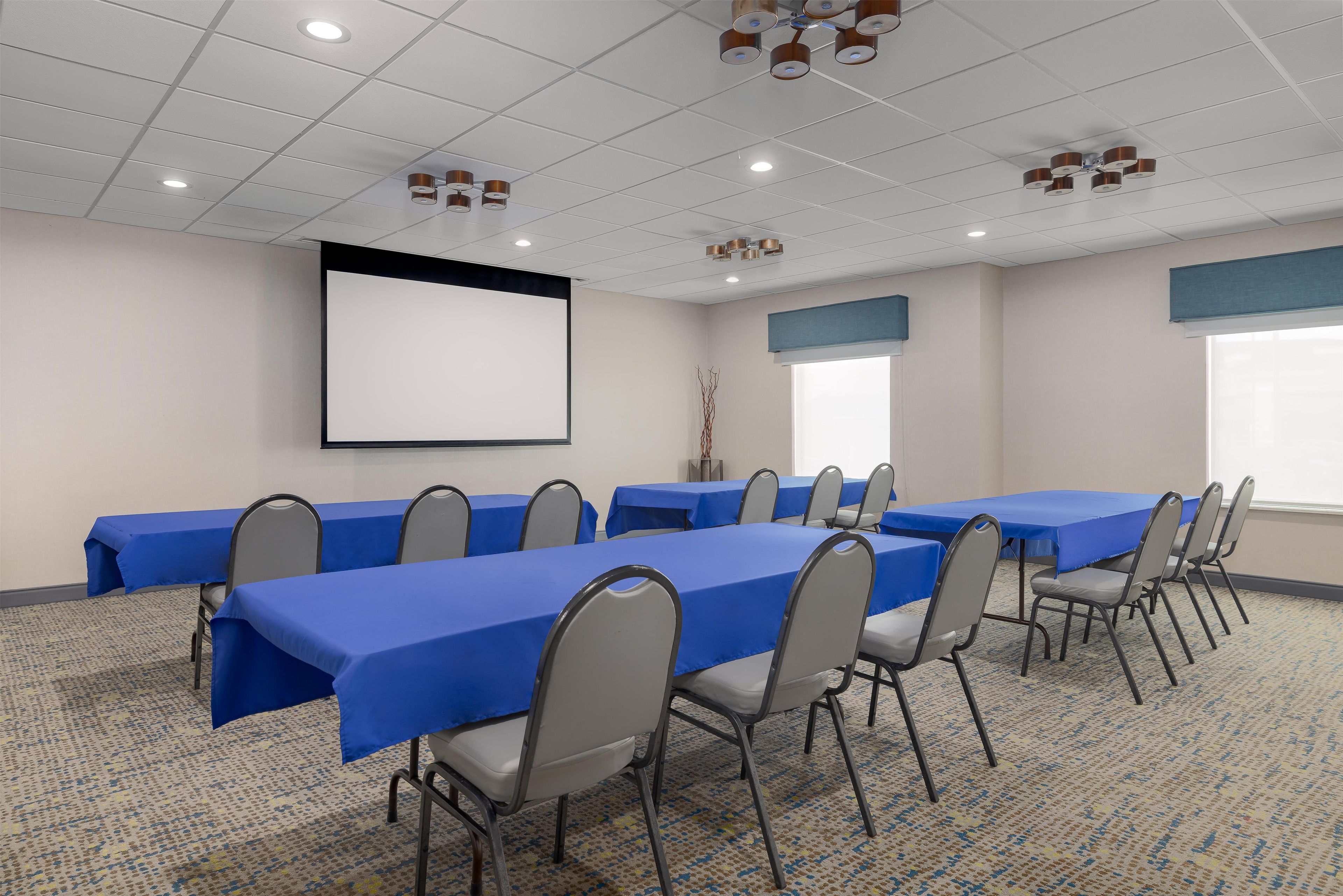 Un salón de conferencias con mesas, sillas, una pantalla de proyector y suelo alfombrado.
