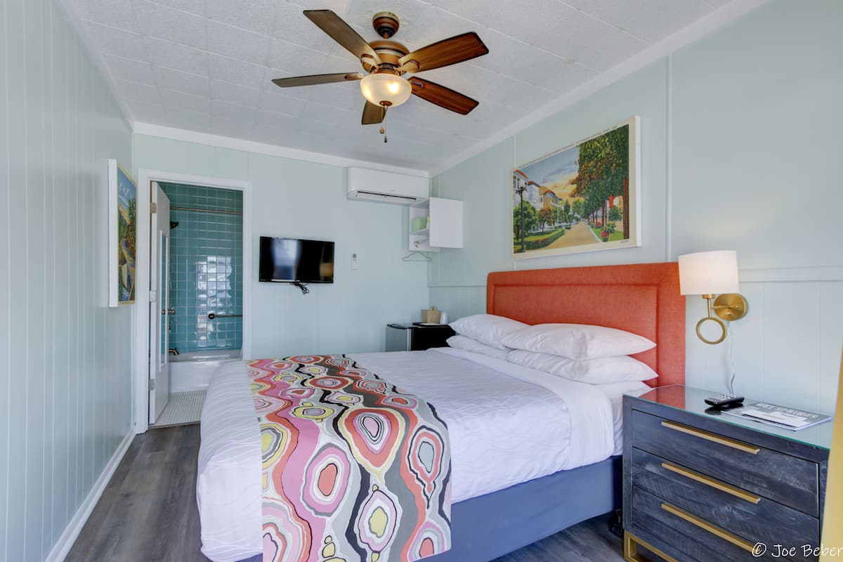 A bedroom with a bed, a ceiling fan, a nightstand, a TV, and a painting on the wall.