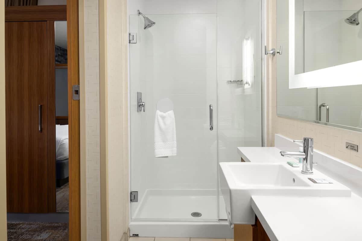 studio, 1 king bed with sofa bed | bathroom | free toiletries, hair dryer, towels