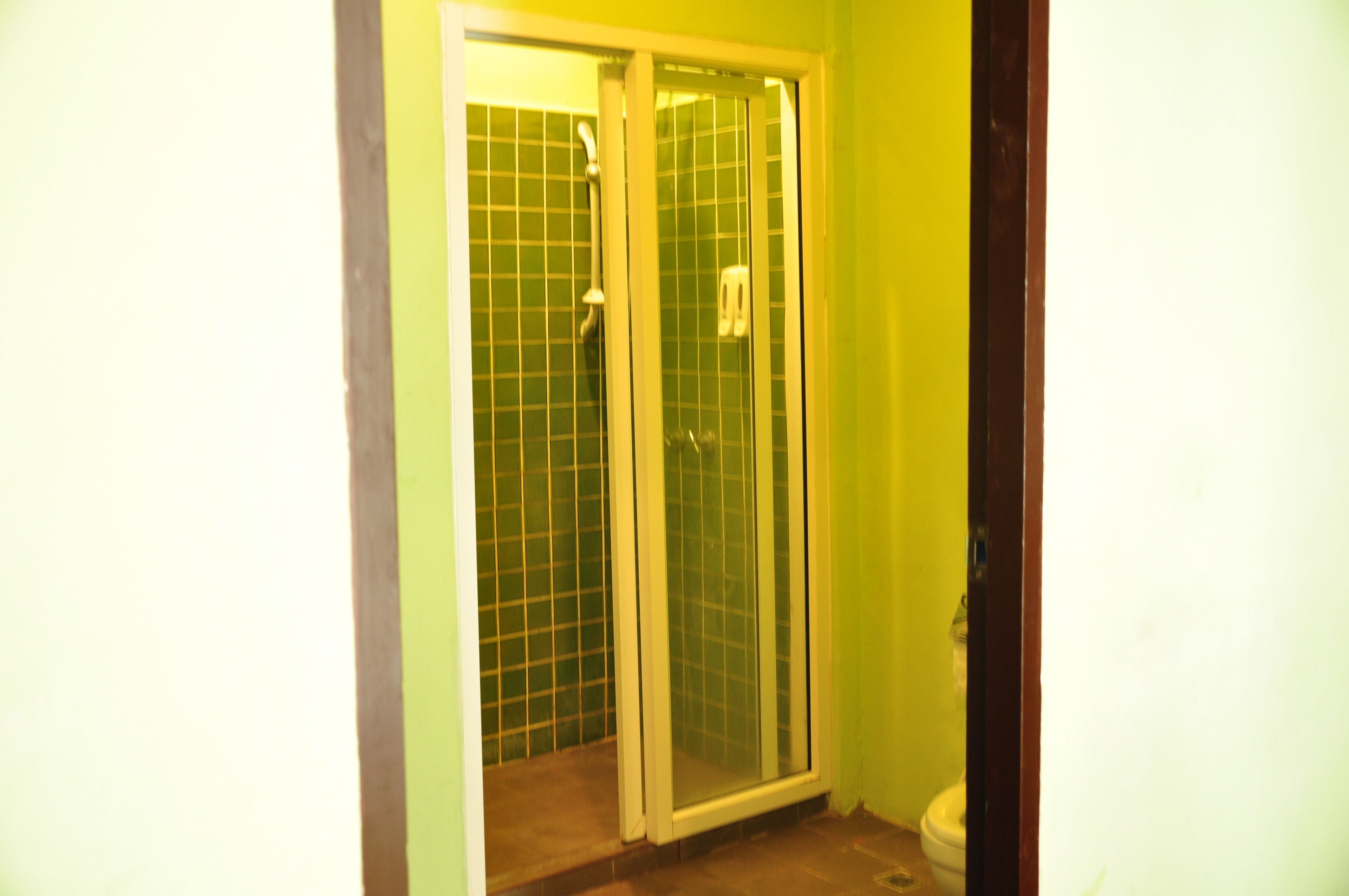 Ein Badezimmer mit einer Duschkabine, einer Toilette und einer grünen Fliesenwand.