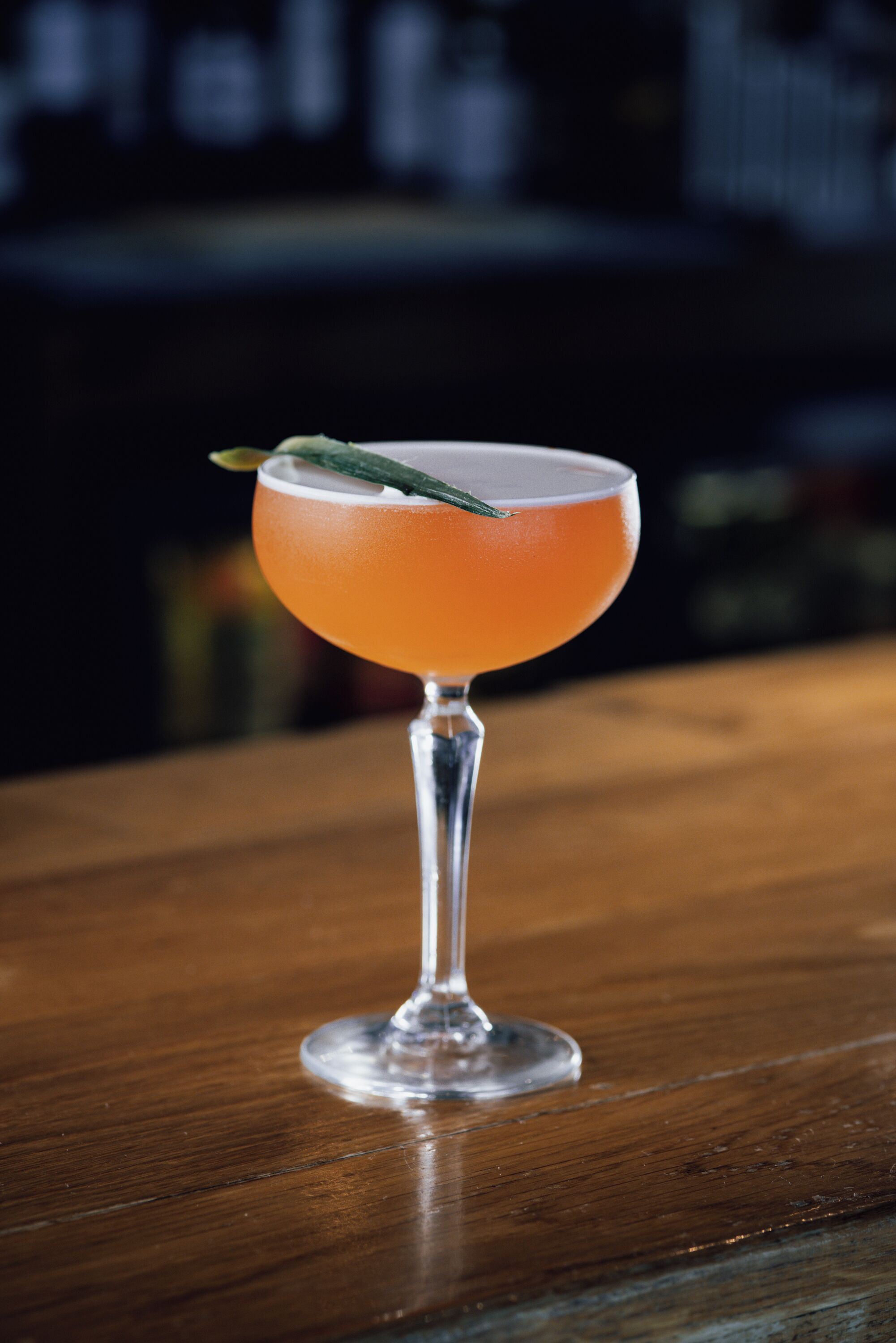 A cocktail in a stemmed glass on a wooden bar counter.