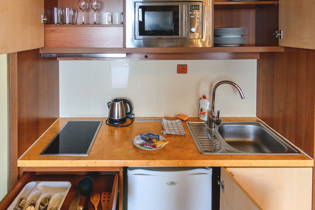 apartment, 1 bedroom | private kitchen | fridge, microwave, stovetop, coffee/tea maker