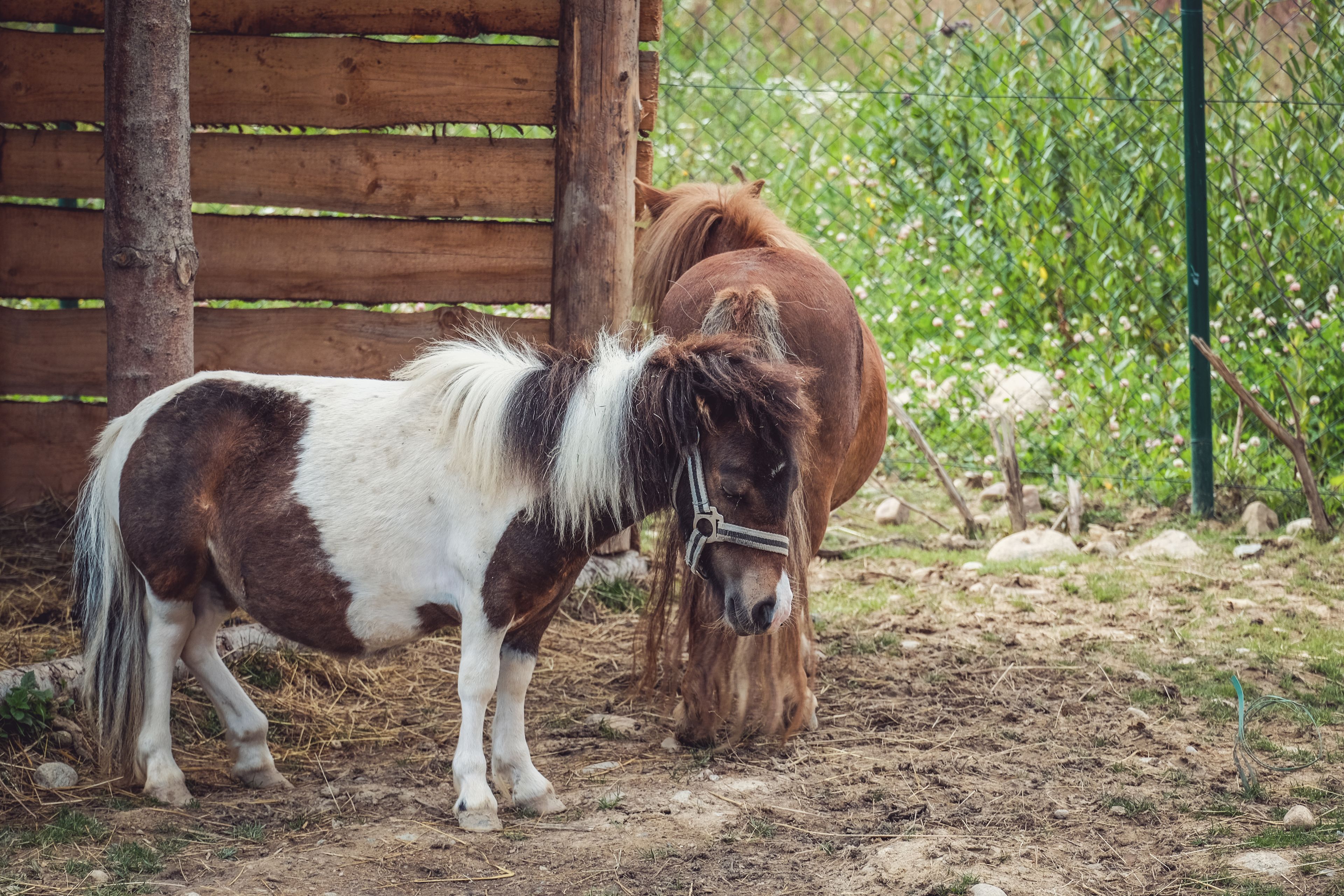 children’s play area – outdoor