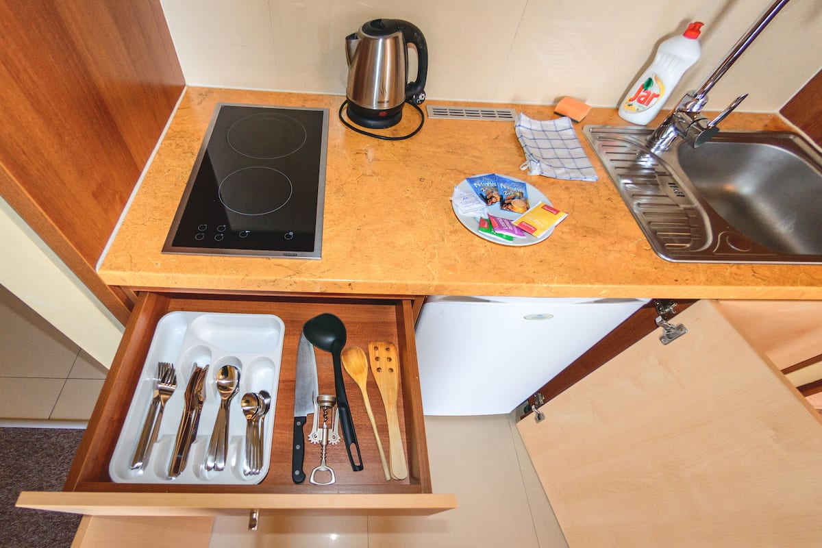 apartment, 1 bedroom | private kitchen | fridge, microwave, stovetop, coffee/tea maker