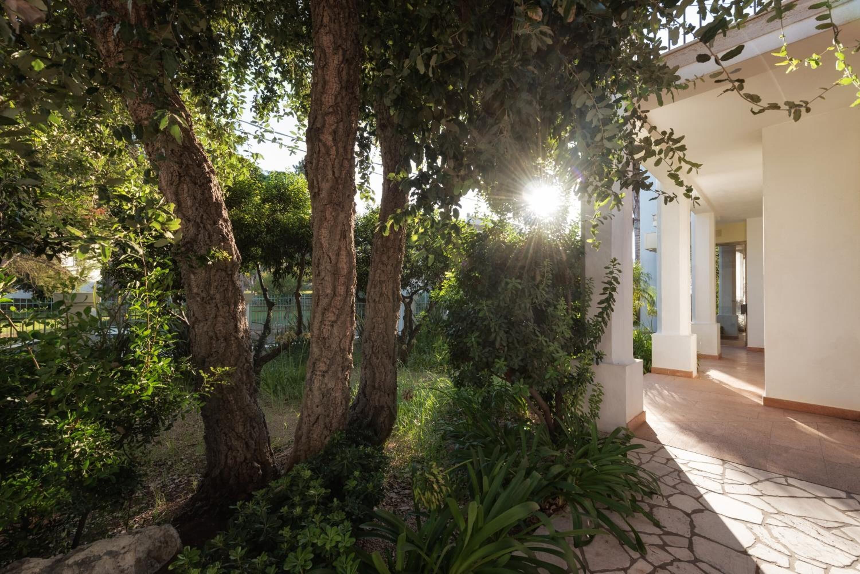 Enceinte de l’hébergement