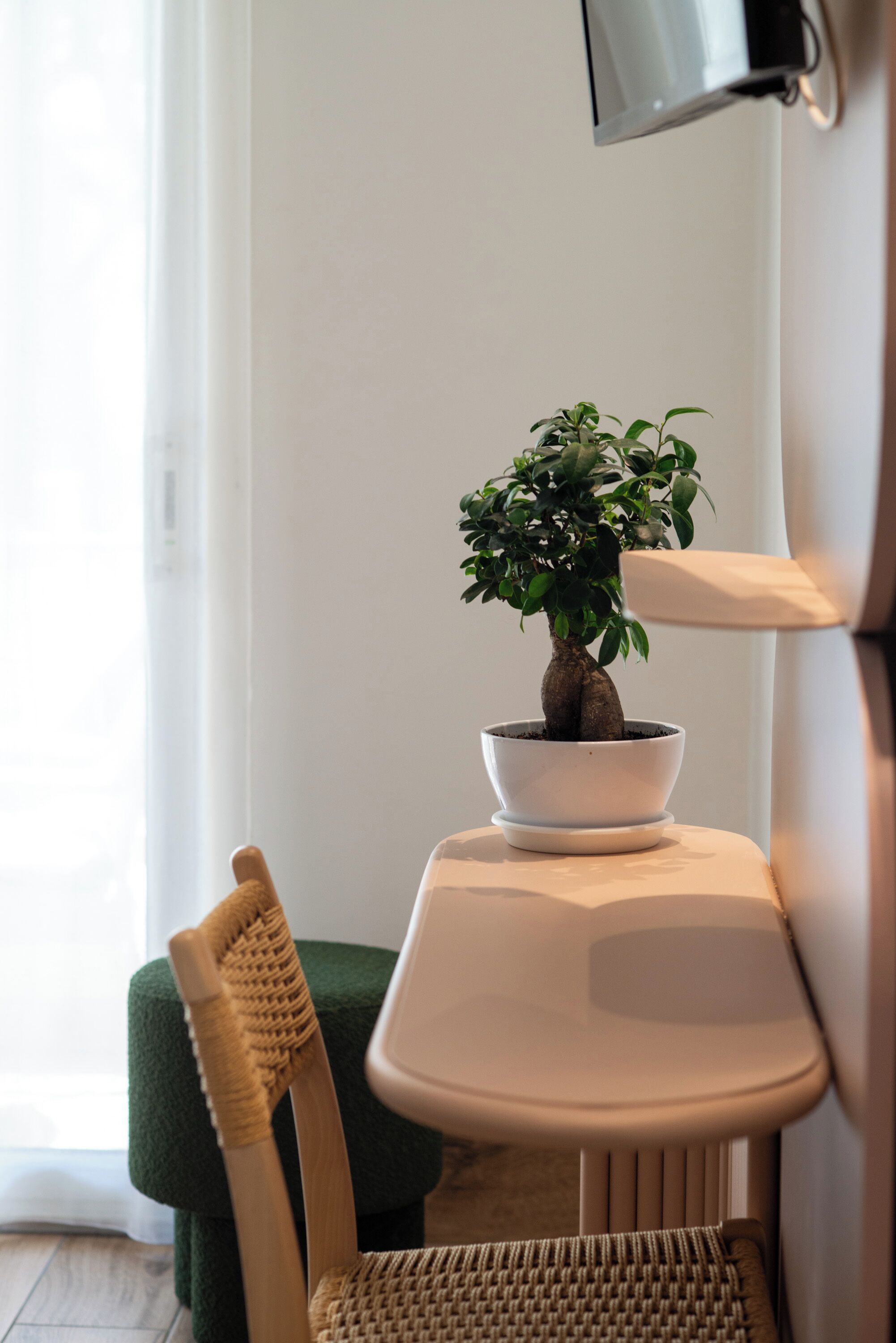 Una planta en maceta sobre una mesa blanca con una silla tejida al lado.