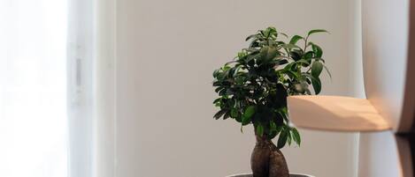 Una planta en maceta sobre una mesa blanca con una silla tejida al lado.