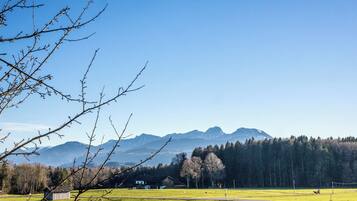 A rural landscape with a clear sky, a green field, a small building, and mountains in the background.
