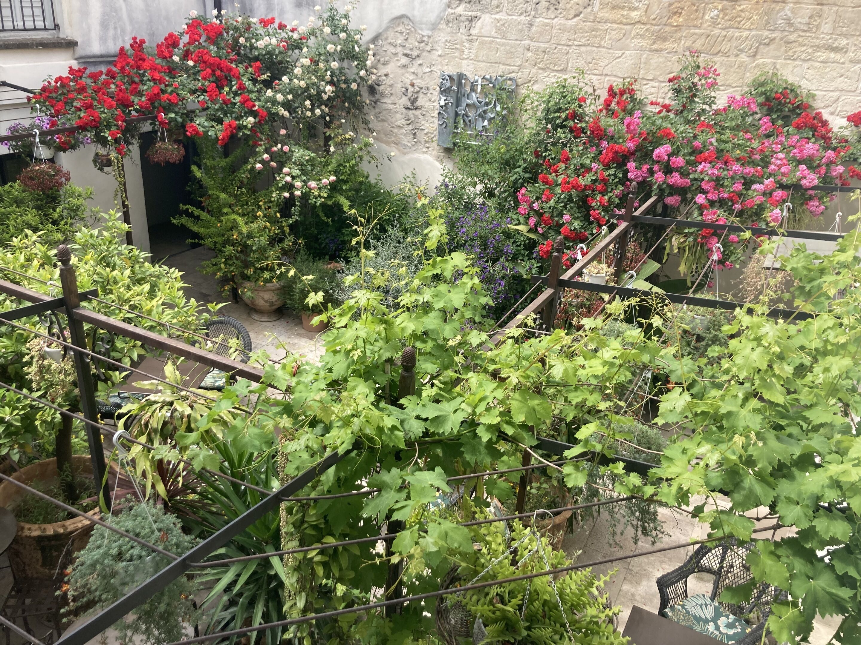 Un jardin sur le toit, agrémenté de diverses plantes et fleurs en pot, d’un mur en pierre et d’une rambarde en métal.