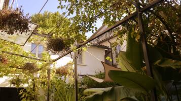 A garden with various plants and a pergola structure.