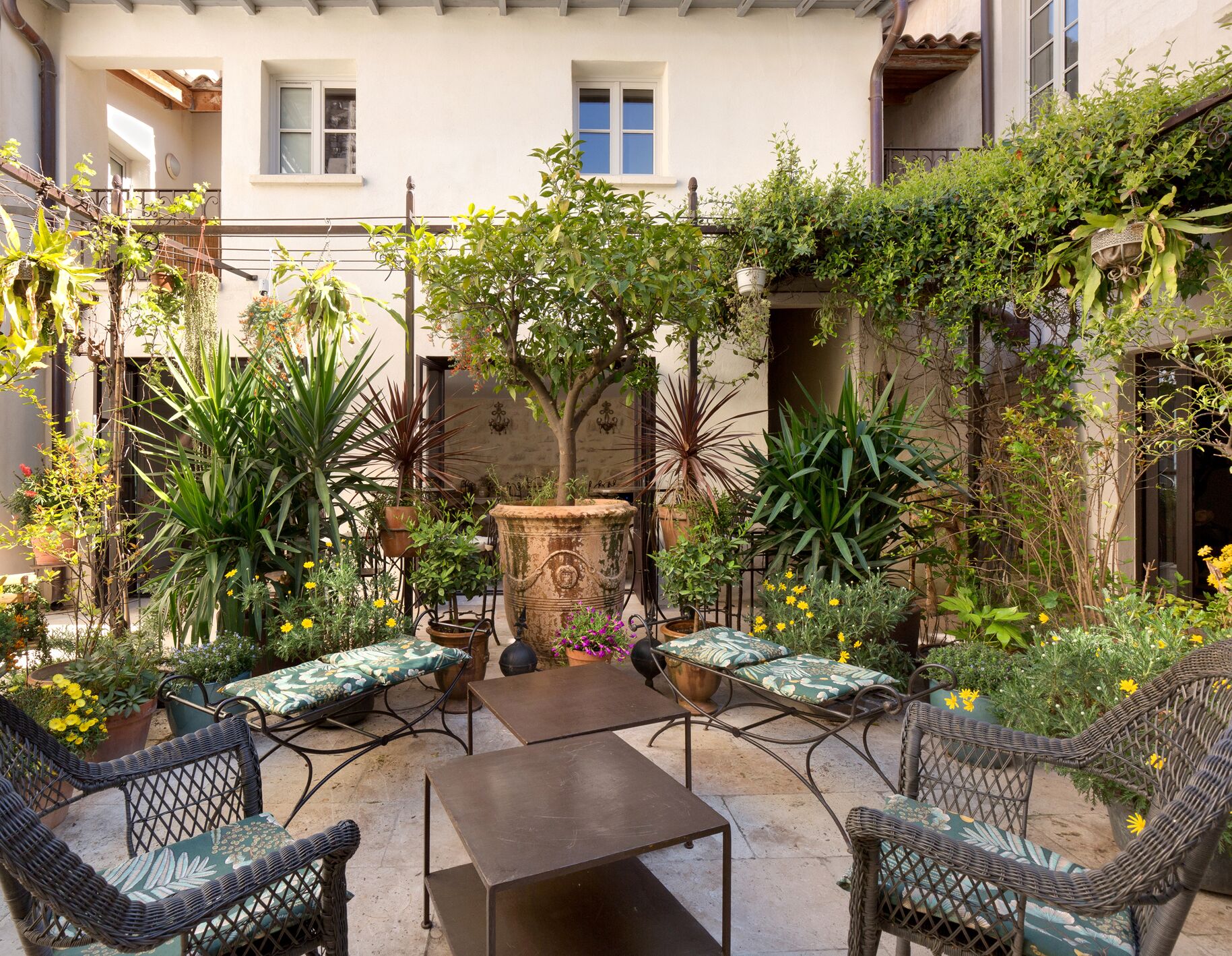 Terraza o patio