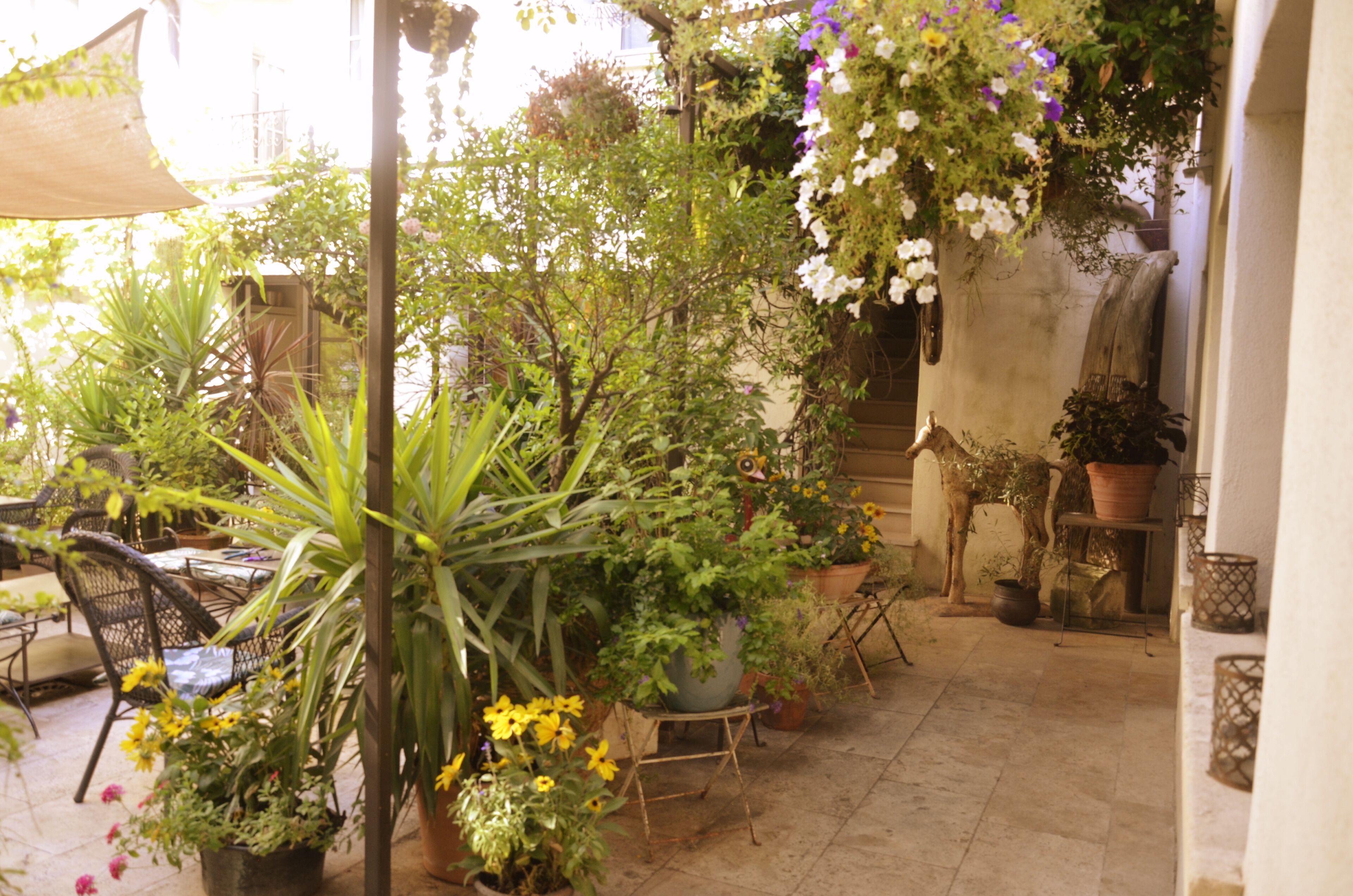An outdoor patio area with various potted plants, a wooden table, and chairs.