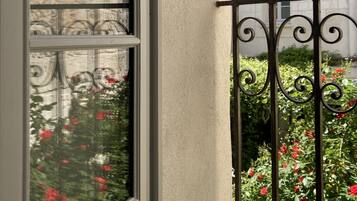 Cardinal | Blick vom Balkon