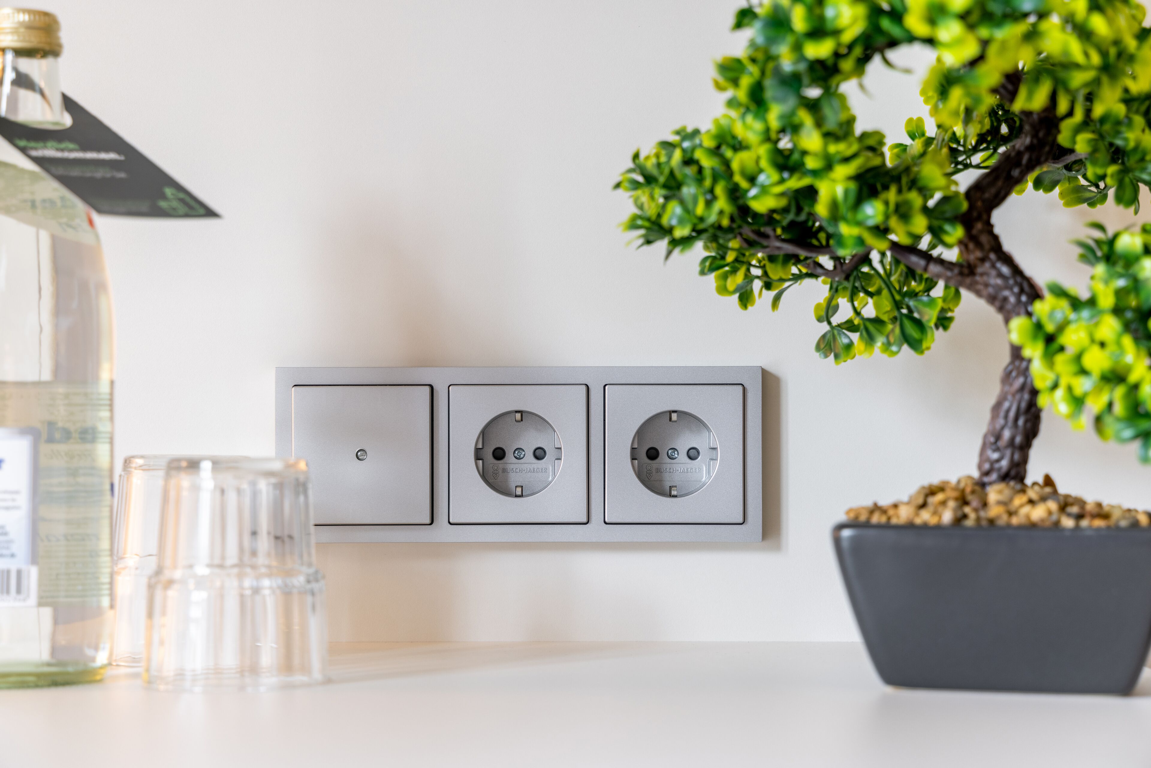 A wall-mounted electrical outlet with three switches and a potted plant.